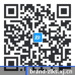 iOS 苹果生态原生版 二维码